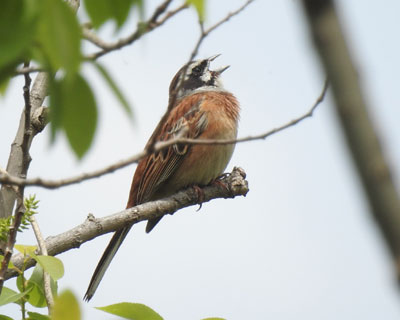 �������z�I�W��