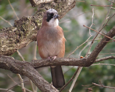 �Ō�ɂ���������������܂�