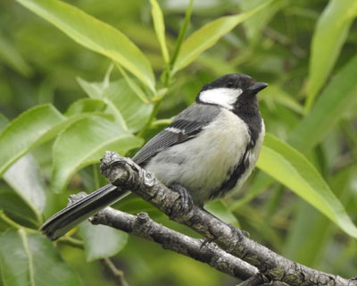 �V�W���E�J��