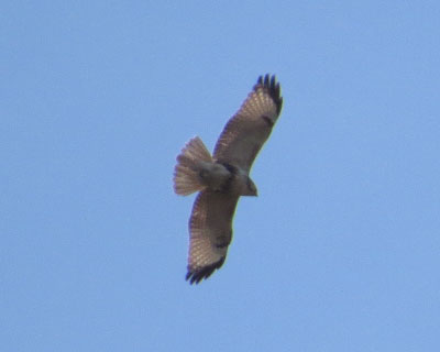 �~�͂悭�����Ă�m�X��