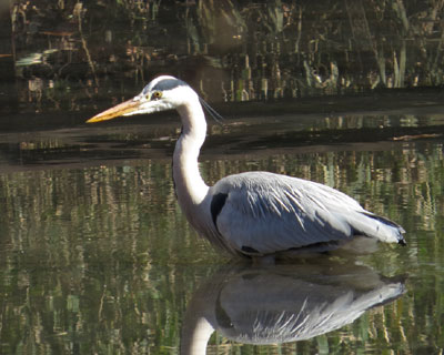 �������������A�I�T�M