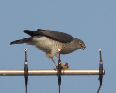 �������H��