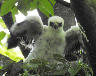 �Ǝv������|��������