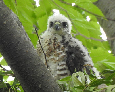 �܂������̂�����