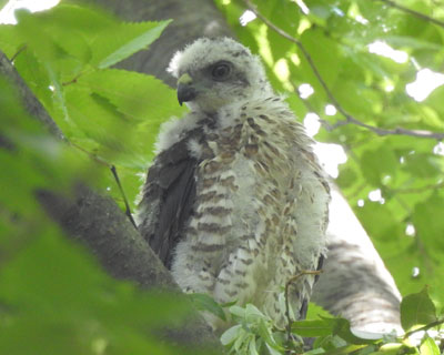 �����|������Ȃ�