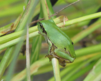 �������A�}�K�G��