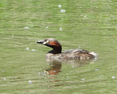 �J�C�c�u��