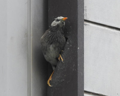 �Z�������N�h��