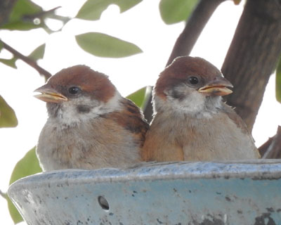 �X�Y������