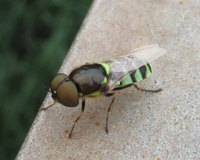 �R�K�^�~�Y�A�u