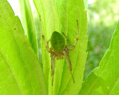 �T�c�}�m�~�_�}�V