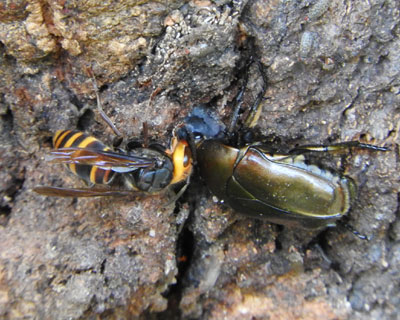 �R�K�^�X�Y���o�`��