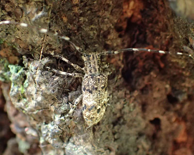 �i�K�S�}�t�J�~�L������