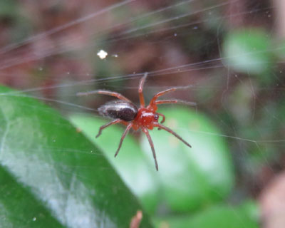 �N�T�O���̏�������