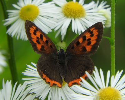 �x�j�V�W�~