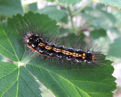 �L�h�N�K�ۂ�