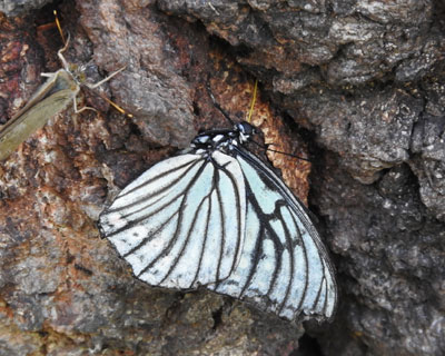 �S�}�_���`���E