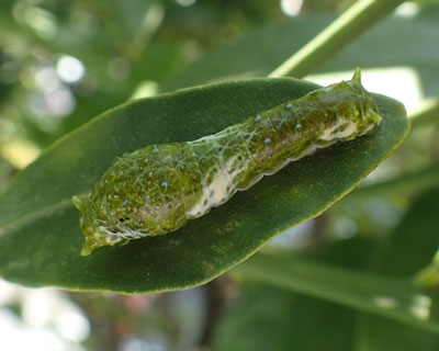 �i�K�T�L�A�Q�n�ۂ����Ǎs���s����