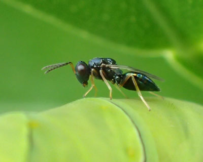 �C��������_���A�I���V�R�o�`