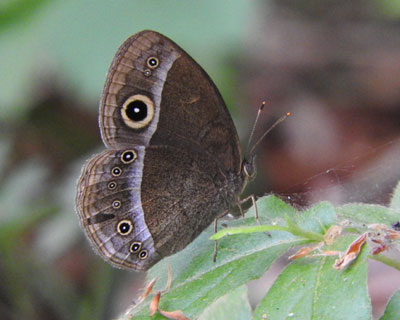 �R�W���m������