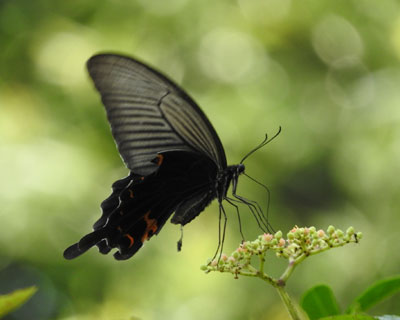 �N���A�Q�n