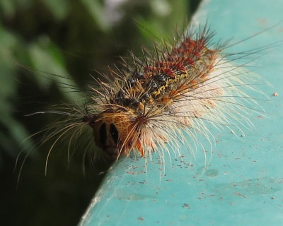 �}�C�}�C�K