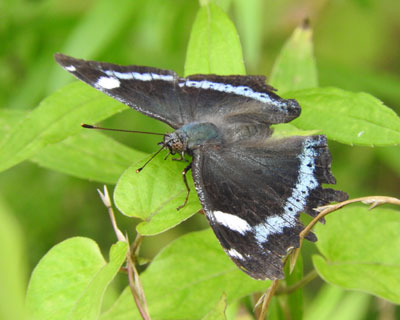 �����^�e�n