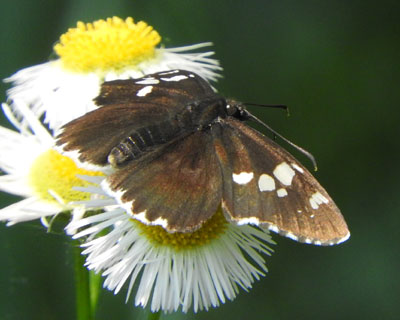 �_�C�~���E�Z�Z��