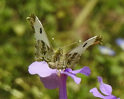 �c�}�L�`���E