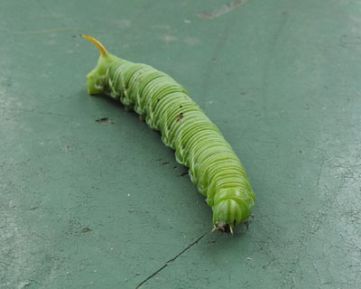 �x�����_������G�r�K���X�Y��