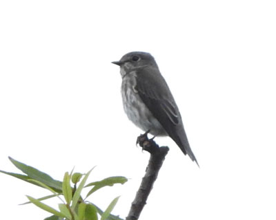 �G�]�r�^�L������