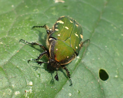 �R�A�I�n�i���O��