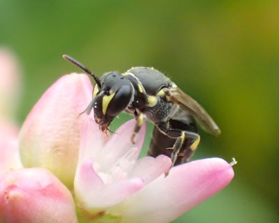 ���������n�`