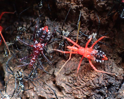 �������胈�R�d�i�T�V�K��