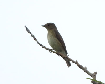 �L�r�^�L������