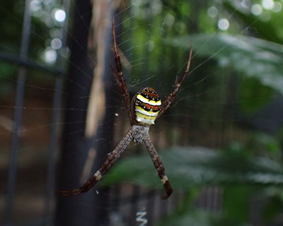 �R�K�^�R�K�l�O��