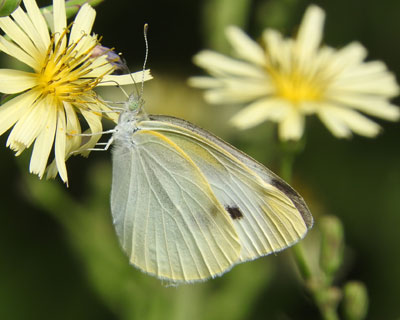 ���F�������V���`���E