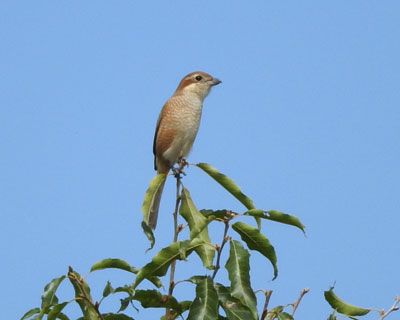 ���Y����������H