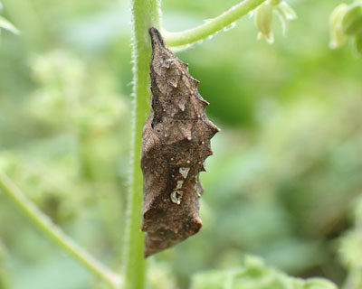 �L�^�e�n��匁H