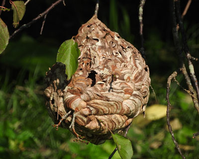 �N���̋󂫑�