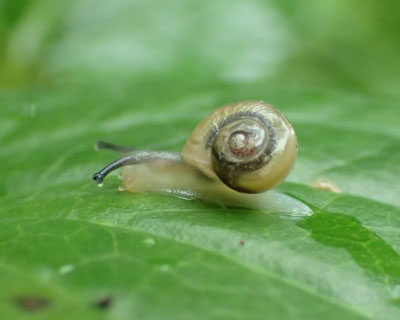 �J�オ��𖞋i