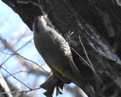 �A�I�Q���͂�����u