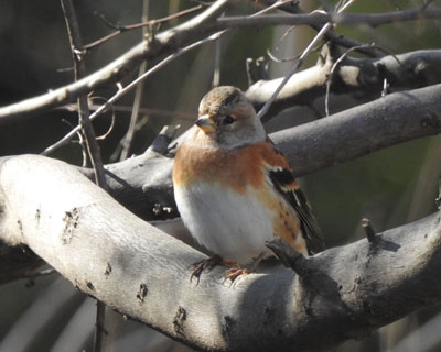 �v�������Ȃ��A�g��