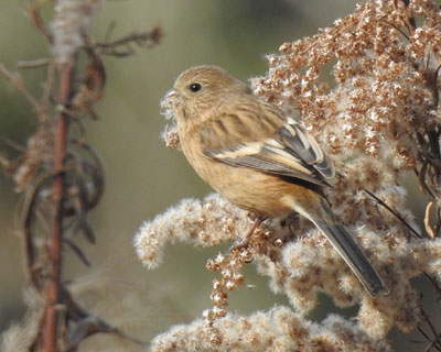 ��Ɍ��̂܂�肪����