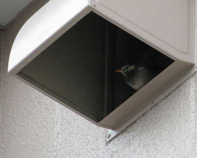 ���ӂ̃��N�h��