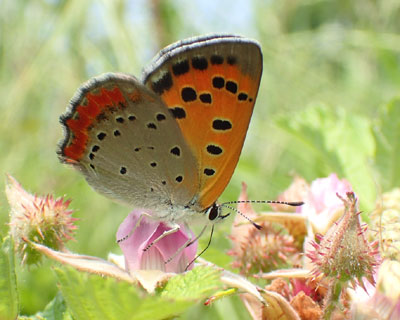 �x�j�V�W�~