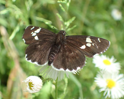 �_�C�~���E�Z�Z��