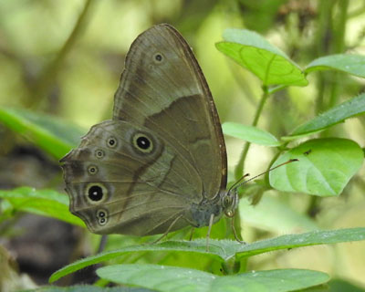 �q�J�Q�`���E