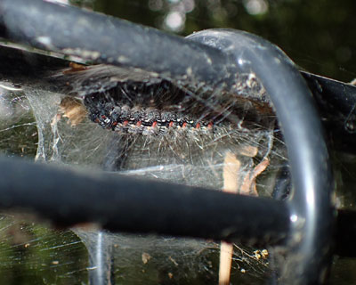 ���c�{�V�z�\�o