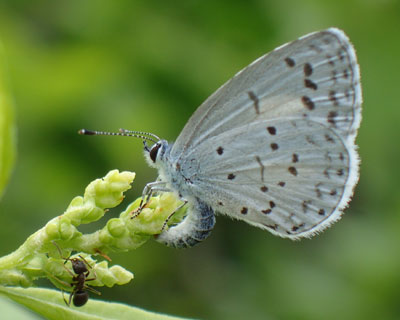 �Y�������V�W�~